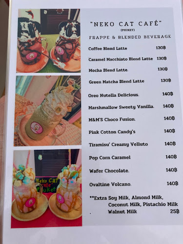 Comentarii opinii despre Neko Cat Cafe