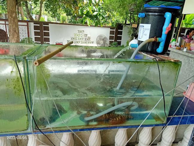 ในสวนอินดี้ Seafood - Mueang