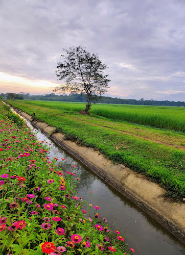 ร้านกาแฟ น้องนา - อ.เมือง