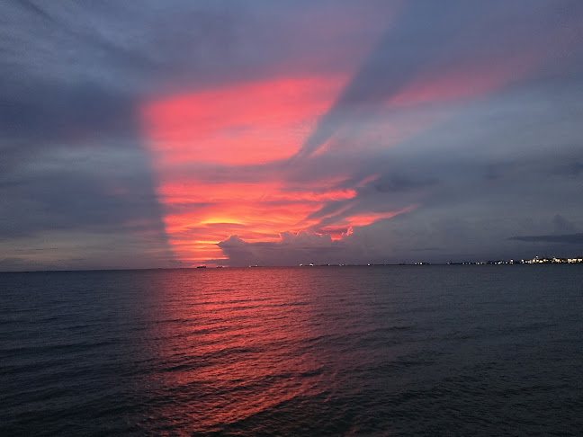 11/4 หมู่ที่ 1 เมืองพัทยา อำเภอบางละมุง ชลบุรี 20150