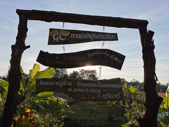 Opinii despre ล้านนานาเค้ก สาขาสนม în อำเภอ สนม - การบริการอาหารและที่พัก