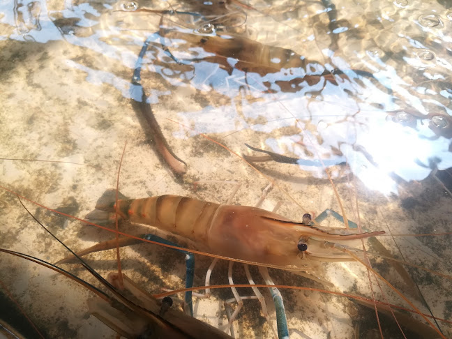 รวมทะเลพิดโลก - การบริการอาหารและที่พัก