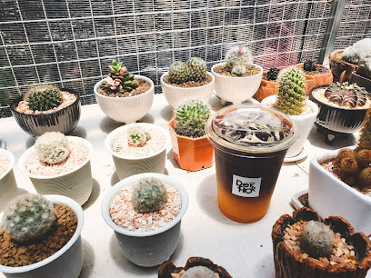 เด็กหอ coffee&Cactus