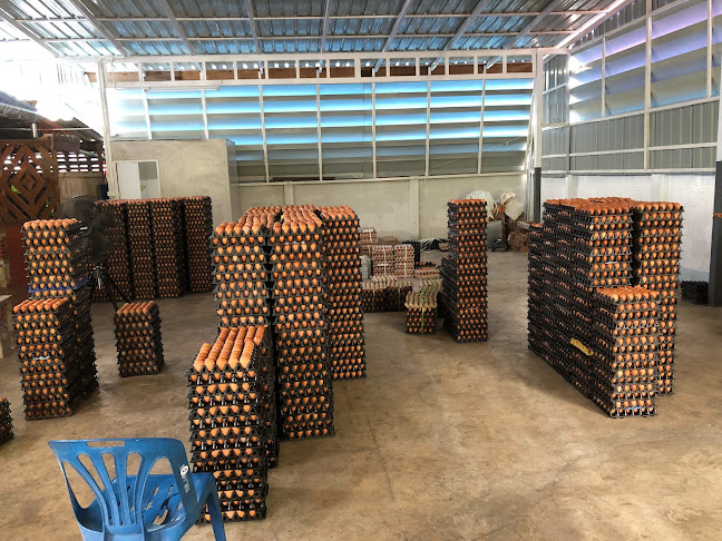 Opinii despre หจก.เอกธนัชไข่ฟาร์ม în อ.เมือง - การบริการอาหารและที่พัก