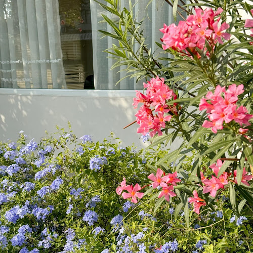 Opinii despre scene café în เมือง - การบริการอาหารและที่พัก