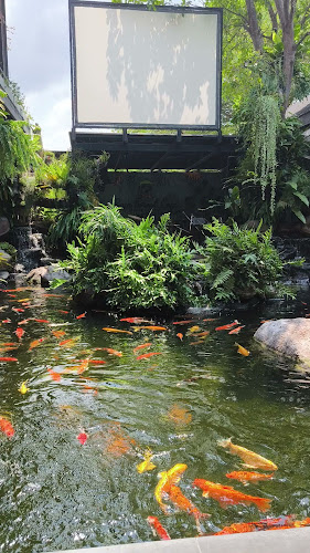 Opinii despre เรนฟอร์เรสคาเฟ่ พัทยา în อำเภอบางละมุง - การบริการอาหารและที่พัก