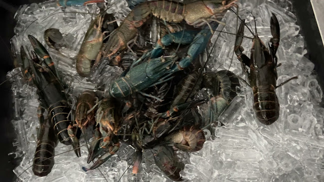 Opinii despre Beer Bank Rawai în Phuket - การบริการอาหารและที่พัก