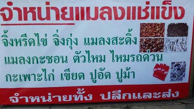 บ้านรวมแมลง@ตาลเดี่ยว