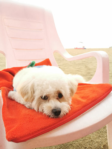 นนท์เตียงผ้าใบชายหาดจอมเทียน - การบริการอาหารและที่พัก