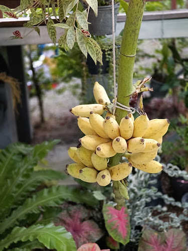 1 ถนน หน้าวัง ตำบลพระปฐมเจดีย์ อำเภอเมืองนครปฐม นครปฐม 73000