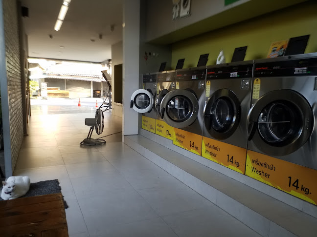 Comentarii opinii despre KAMU TEA สาขาศิลปากร