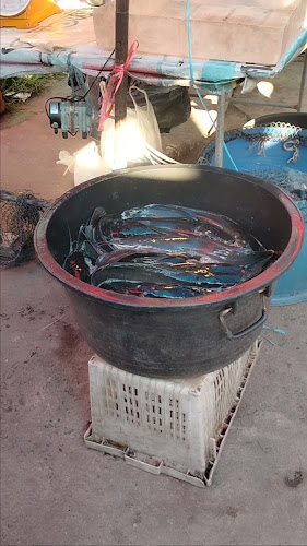 Evening market - การบริการอาหารและที่พัก