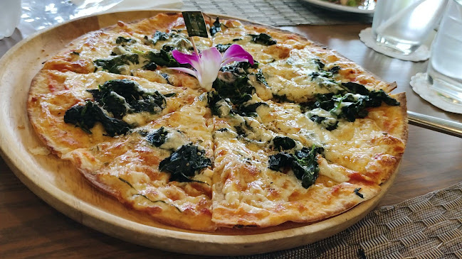 เรนฟอร์เรสคาเฟ่ พัทยา