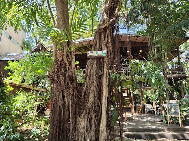 Opinii despre Pa Klang Mueang Café | ป่ากลางเมือง Café & Co-Working space în อำเภอเมืองขอนแก่น - การบริการอาหารและที่พัก