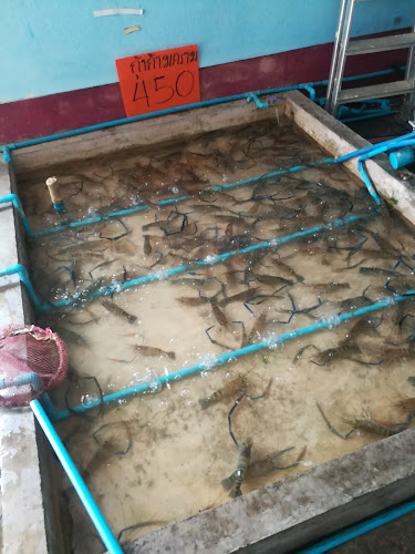 Comentarii opinii despre รวมทะเลพิดโลก