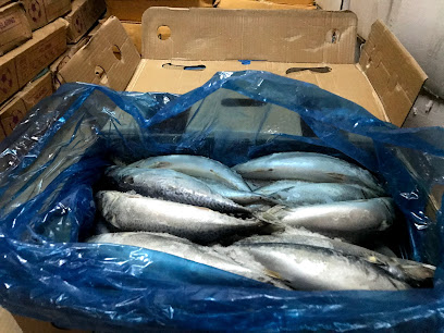 ห้องเย็นปลาทู แจ้งวัฒนะ 38