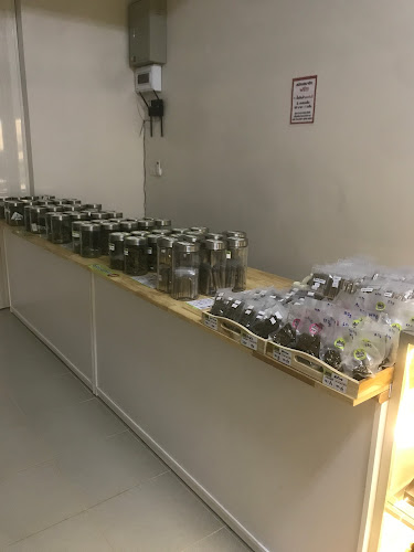 ไข่หวานบ้านซูชิ สาขาสระแก้ว - การบริการอาหารและที่พัก