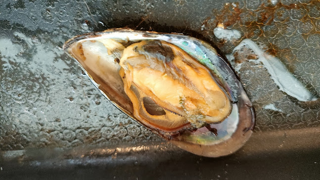 ShabuHito หอมหมื่นลี้ しゃぶ 人 - เมือง