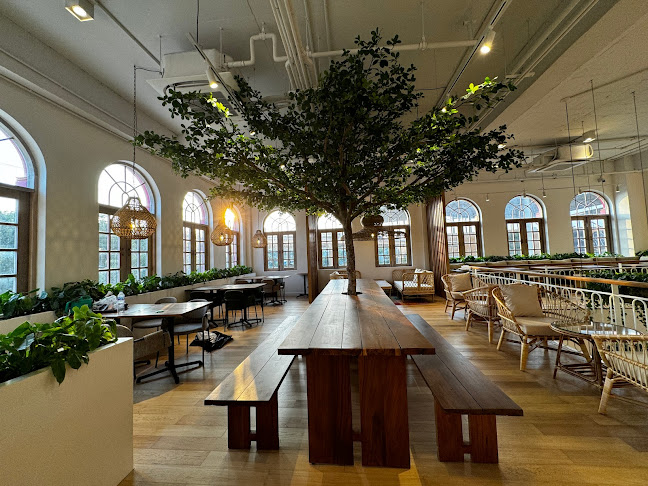 BARTELS Blue Tree - Sourdough Sandwiches & Juicery