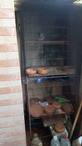 Opinii despre ซอส โดย เชฟ วอง în อำเภอปากเกร็ด - การบริการอาหารและที่พัก