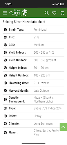 354, 16 ทัพพระยา เมืองพัทยา อำเภอบางละมุง ชลบุรี 20150