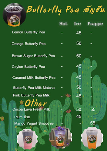 91 นครใน ตำบลบ่อยาง อำเภอเมืองสงขลา สงขลา 90000