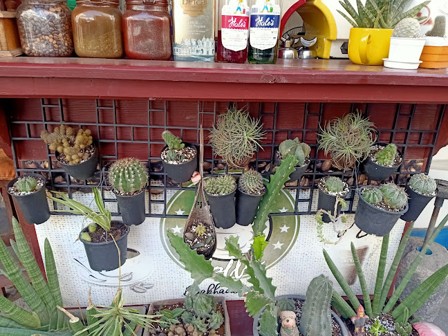 Ying Coffee soi 15 Buakhaon - อำเภอบางละมุง