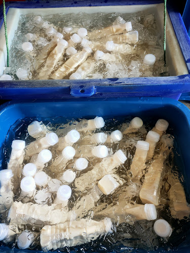 Opinii despre ร้านน้ำเต้าหู้เพื่อสุขภาพ ทุ่งเสา1 în อำเภอหาดใหญ่ - การบริการอาหารและที่พัก