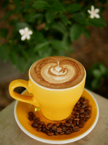 MMA GUY Cafe & Ice Bath - การบริการอาหารและที่พัก