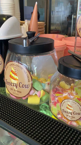 Comentarii opinii despre Freezy Cow