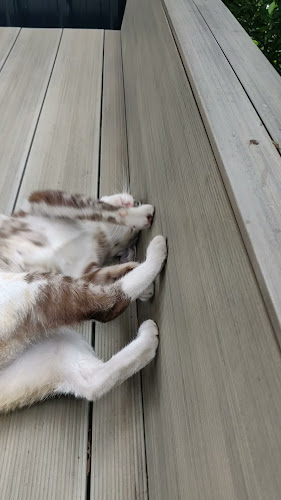 Inthanin Coffee ปั๊มบางจาก วัดลาดปลาดุก