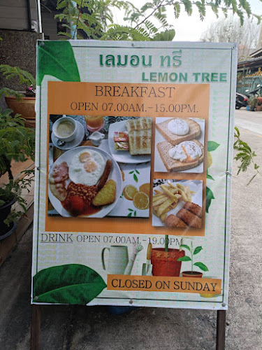 Lemon Tree - การบริการอาหารและที่พัก