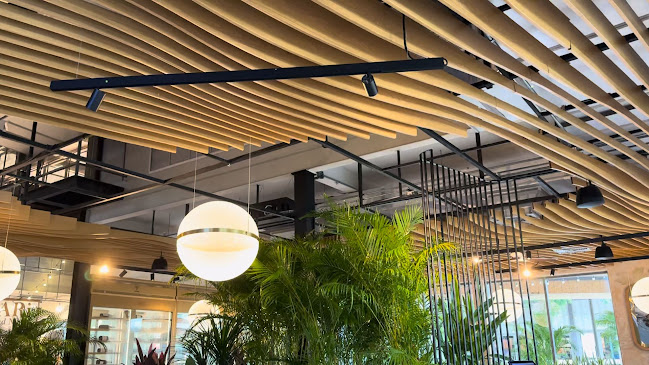 Robbi Seafood. Pasta. Pizza