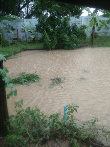 72/1 ม.10 เขาคีริส พรานกระต่าย กำแพงเพชร 62110