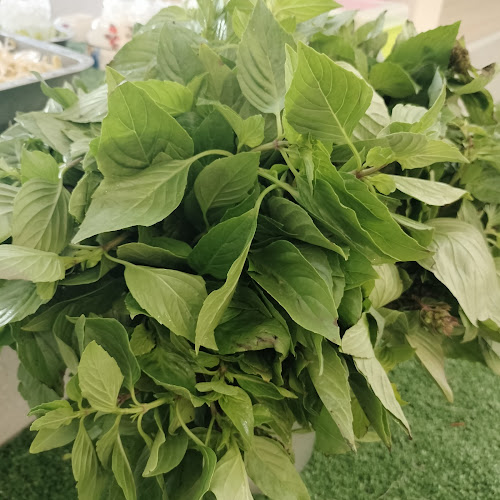 228 2 ตำบล อ้อมน้อย อำเภอกระทุ่มแบน สมุทรสาคร 74130