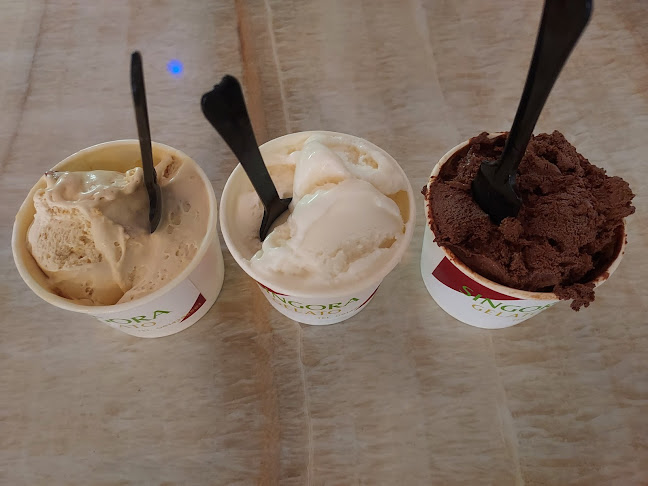 Singora GELATO - การบริการอาหารและที่พัก