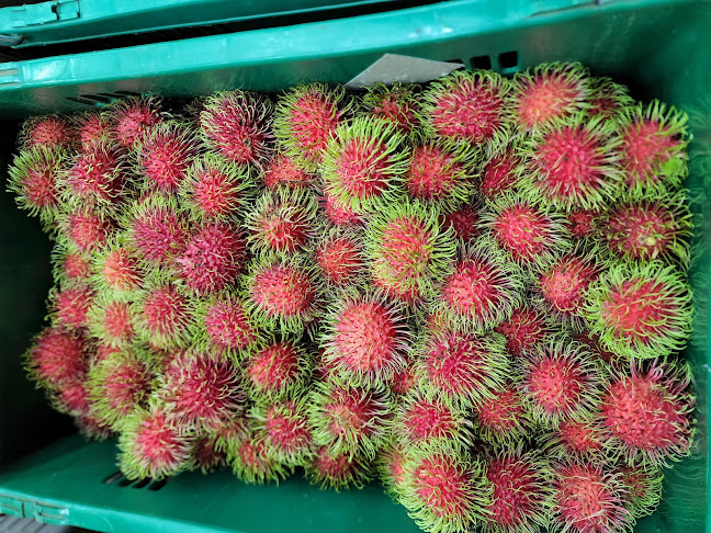 Opinii despre ร้านระพีภัทร์ ตลาดปฐมมงคล în อำเภอเมืองนครปฐม - การบริการอาหารและที่พัก