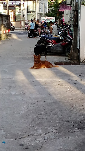 Mr.Mark Tour Phuket - อำเภอกะทู้