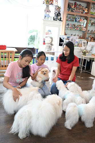 Opinii despre Lang Baan (หลังบ้าน) Dog Cafe & Pet Friendly în อำเภอปากเกร็ด - การบริการอาหารและที่พัก
