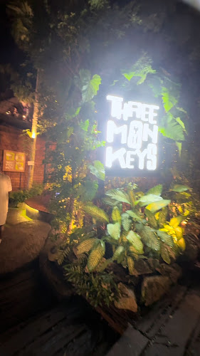 Comentarii opinii despre Three Monkeys Restaurant