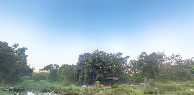 2M3V+JP7 168 หมู่ที่ 4 ถนนรังสิต - นครนายก ตำบล บึงยี่โถ อำเภอธัญบุรี ปทุมธานี 12130