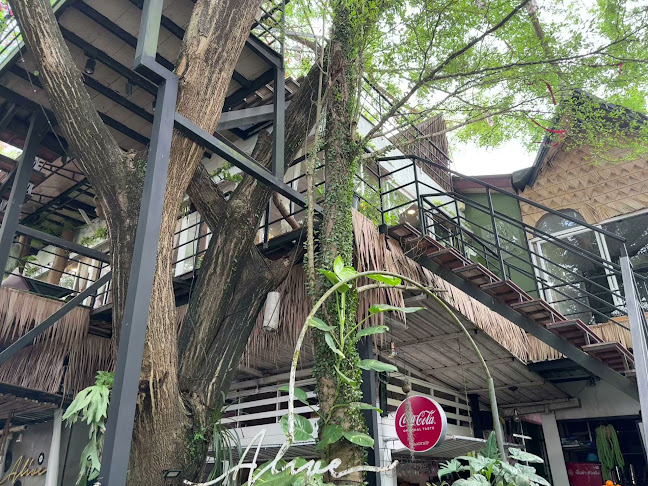 Comentarii opinii despre Alive Cheewit Cheewa