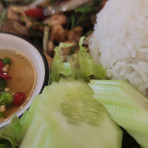 MASHAA Halal Cafe’ - การบริการอาหารและที่พัก