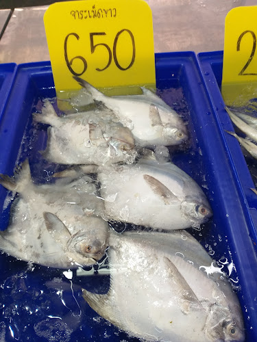 Comentarii opinii despre แป้ง-บัญชา หอยแครงแมลงภู่ตลาดรถไฟ