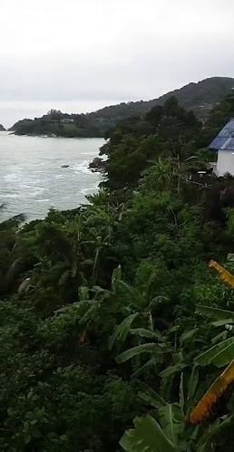 Salsa Mexicana patong - อำเภอกะทู้