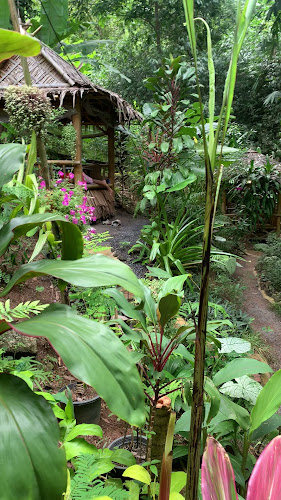 บ้านสวนลุงรงค์ Suan Lung Rong. Cafe'and restaurant