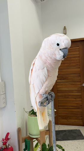 Opinii despre Tang Toh în Mueng - การบริการอาหารและที่พัก