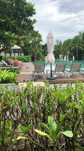 Stay Green Café - อำเภอเมืองภูเก็ต