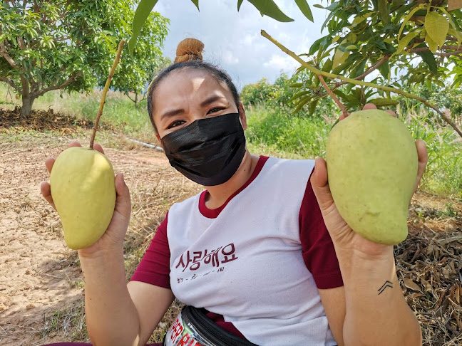 ร้านบูม-​ปอนด์​ผลไม้​ตามฤดูกาล​ - อำเภอเมืองพิษณุโลก