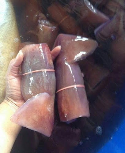 Comentarii opinii despre ซี สินเจริญ โฟรเซ่น ขายปลีก-ส่งอาหารทะเลสดแช่แข็ง